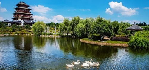 心動(dòng)之旅！僅99元，12月3日韶山、花明樓純玩一日游，開啟紅色文化體驗(yàn)