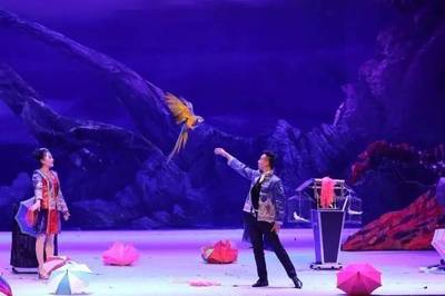 2017年朝陽公園大馬戲 全方位票務(wù)代理與商務(wù)咨詢指南